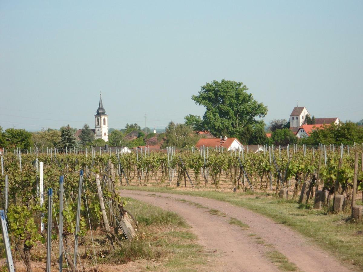 Ferienwohnung Suedpfalz Weingarten  Bagian luar foto